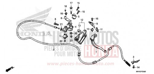 LEVIER DE STATIONNEMENT CRF1000DK de 2019